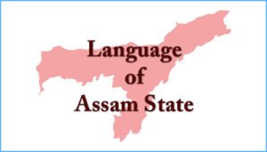 Assam Local Language